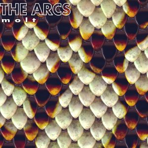 Molt album cover art